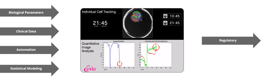 Interdisciplinary approach to improve IVF outcomes