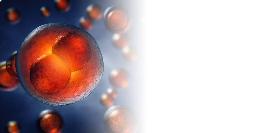 Fueling innovation through Science